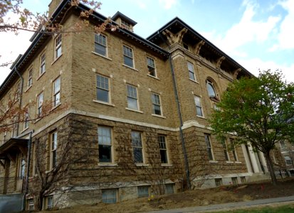 Building with some ivy and nearby tree at Cornell University