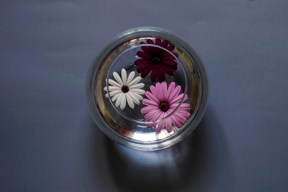 Water still life decoration