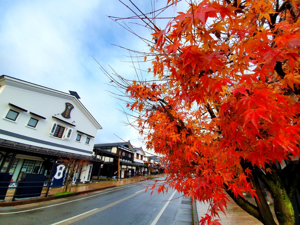 Buildings in Shiozawa 9