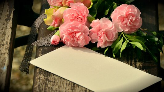 Roses by heart floristry