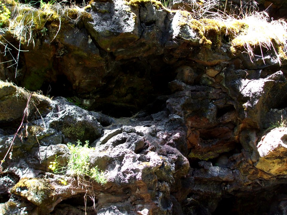 Budj Bim ‐ Mt Eccles National Park, Victoria, Australia 50