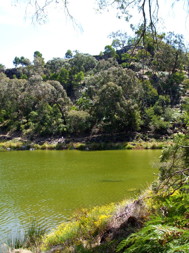 Budj Bim ‐ Mt Eccles National Park, Victoria, Australia 26