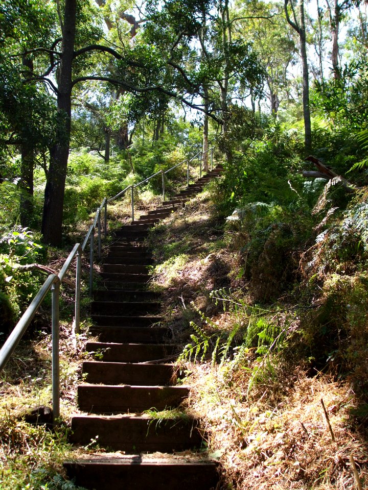 Budj Bim ‐ Mt Eccles National Park, Victoria, Australia 35