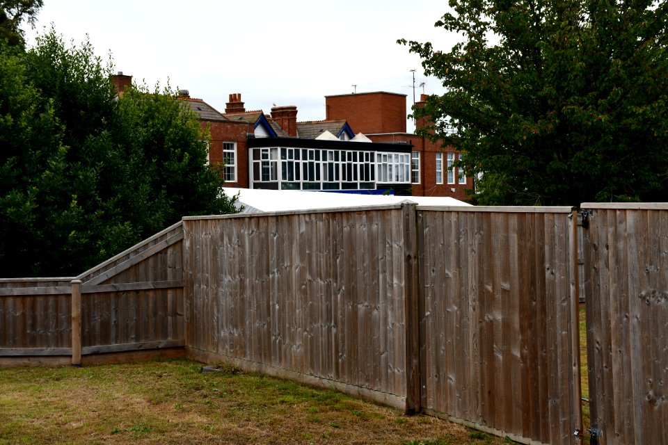 Budleigh Salterton (2020-08-16) 60