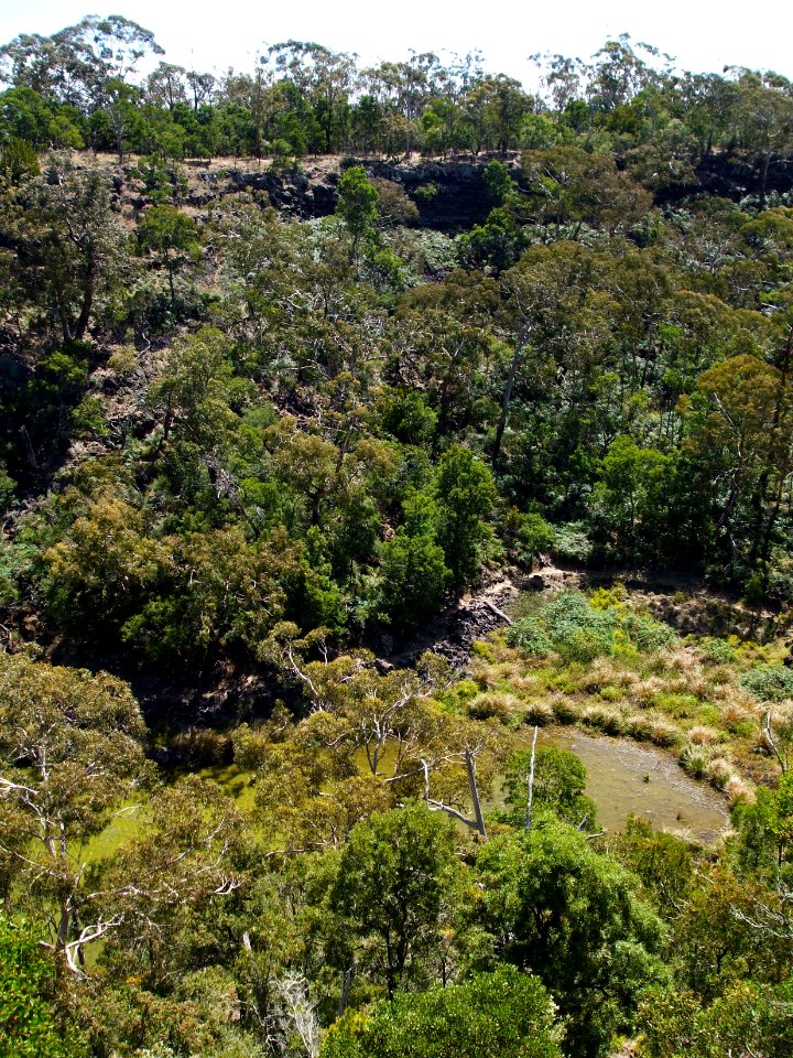 Budj Bim ‐ Mt Eccles National Park, Victoria, Australia 02