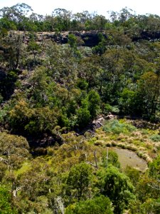 Budj Bim ‐ Mt Eccles National Park, Victoria, Australia 02