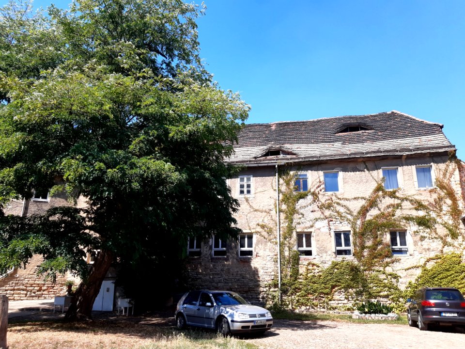 Burg Burgliebenau2