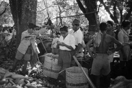 Buitenzorg. In de gebieden waar rust en orde zijn weergekeerd heeft het Indische, Bestanddeelnr 352-2-1