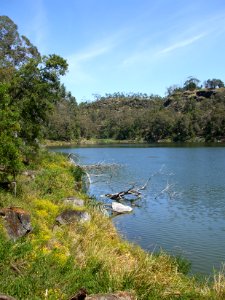 Budj Bim ‐ Mt Eccles National Park, Victoria, Australia 23