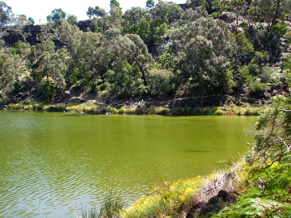 Budj Bim ‐ Mt Eccles National Park, Victoria, Australia 21