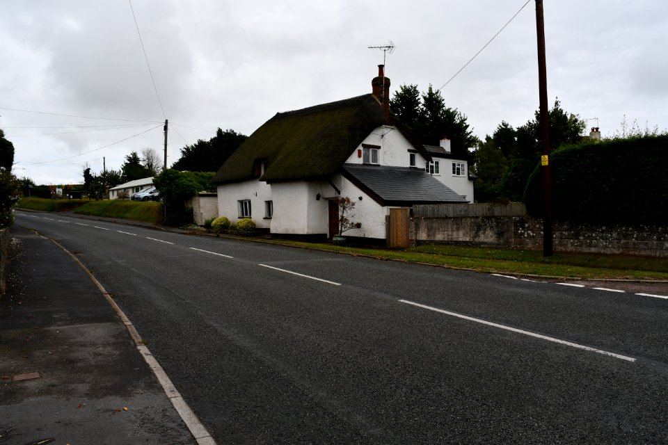 Budleigh Salterton (2020-08-16) 08