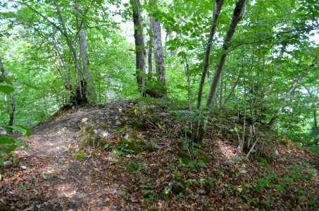 Burg Irslingen, Bergspitze