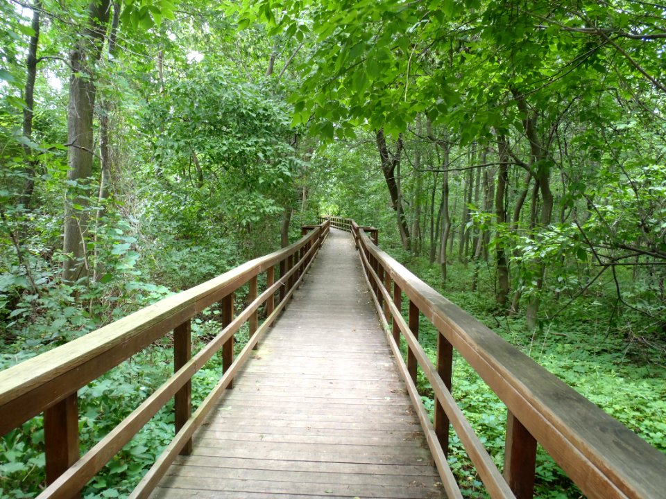 Burchfield Nature Center path