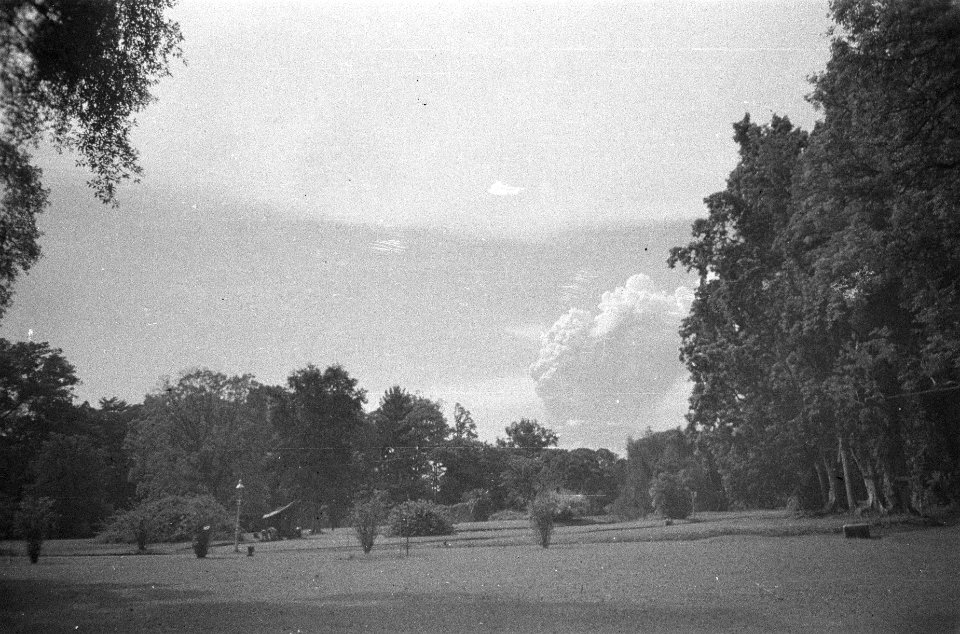 Buitenzorg. 's-Lands Plantentuin, Bestanddeelnr 383-6-1