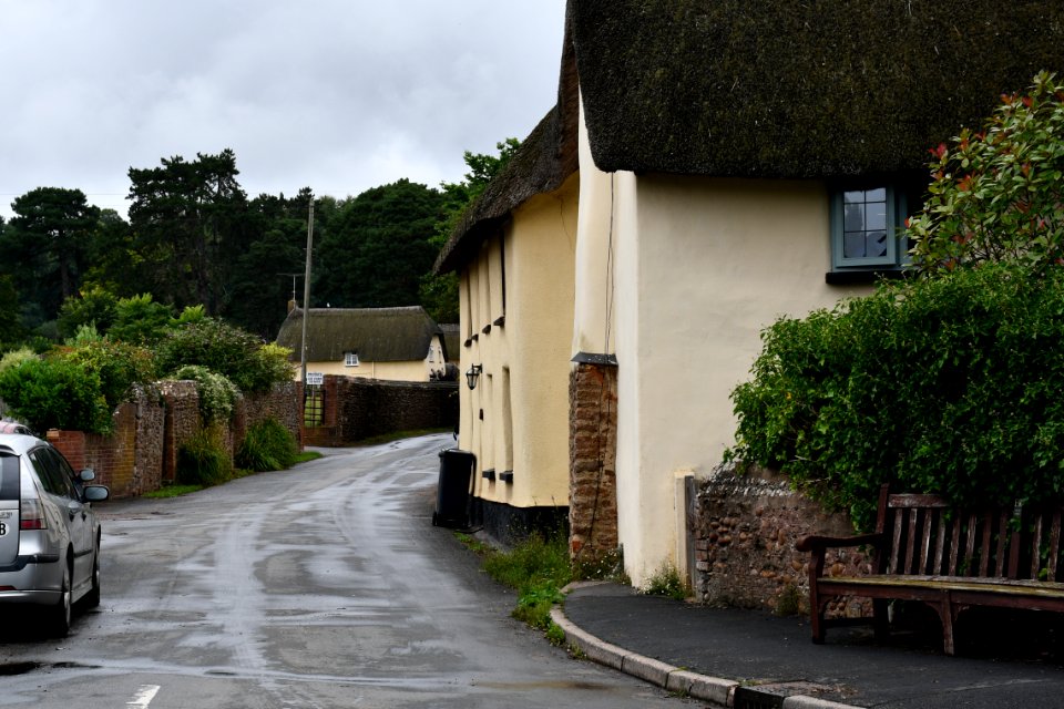 Budleigh Salterton (2020-08-16) 13