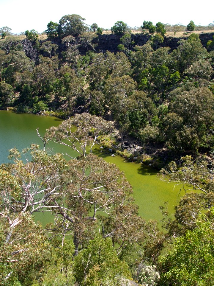 Budj Bim ‐ Mt Eccles National Park, Victoria, Australia 18