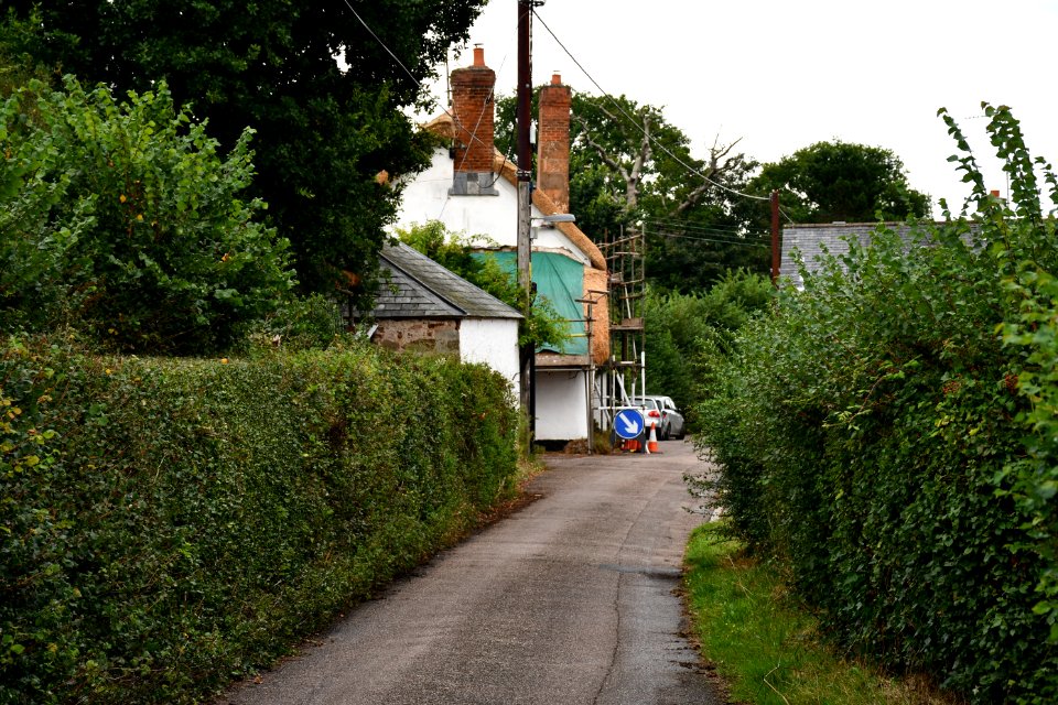 Budleigh Salterton (2020-08-16) 16