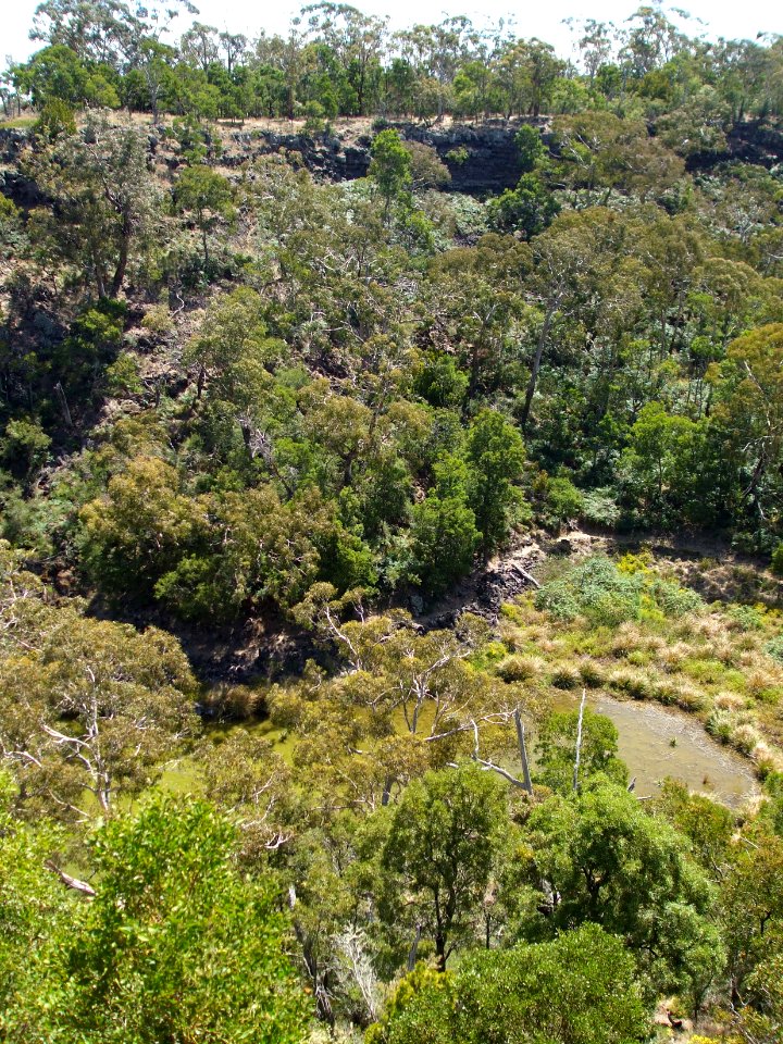 Budj Bim ‐ Mt Eccles National Park, Victoria, Australia 19