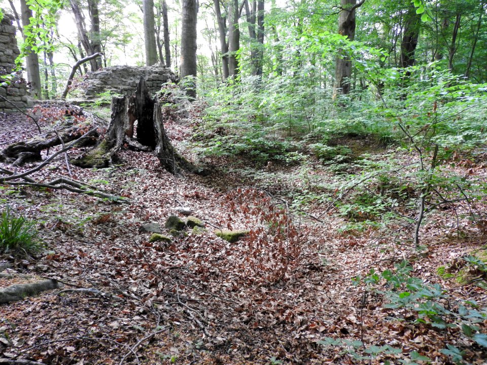 Burg Rabenswalde 13