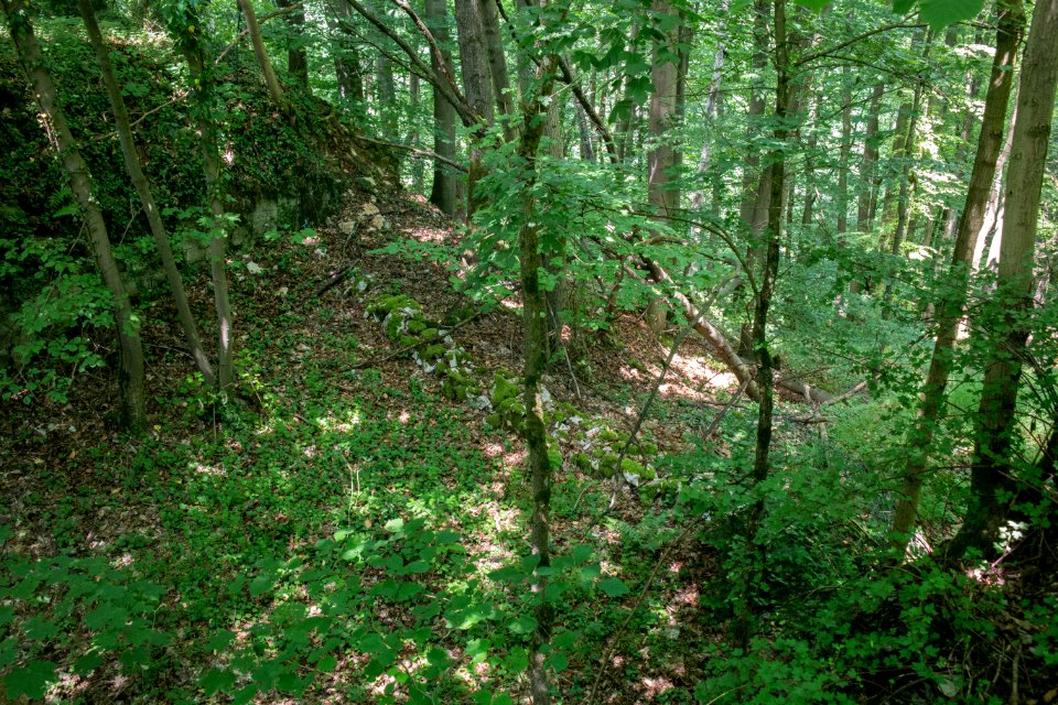 Burg Reicheneck 09