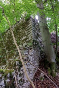 Burg Reicheneck 12