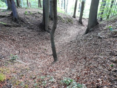 Burg Rabenswalde 07