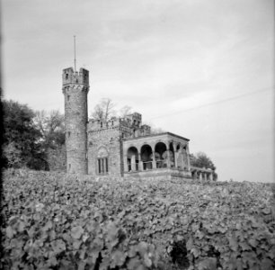 Burg Schwarzenstein op de Johannisberg bij Geisenheim, Bestanddeelnr 254-4244