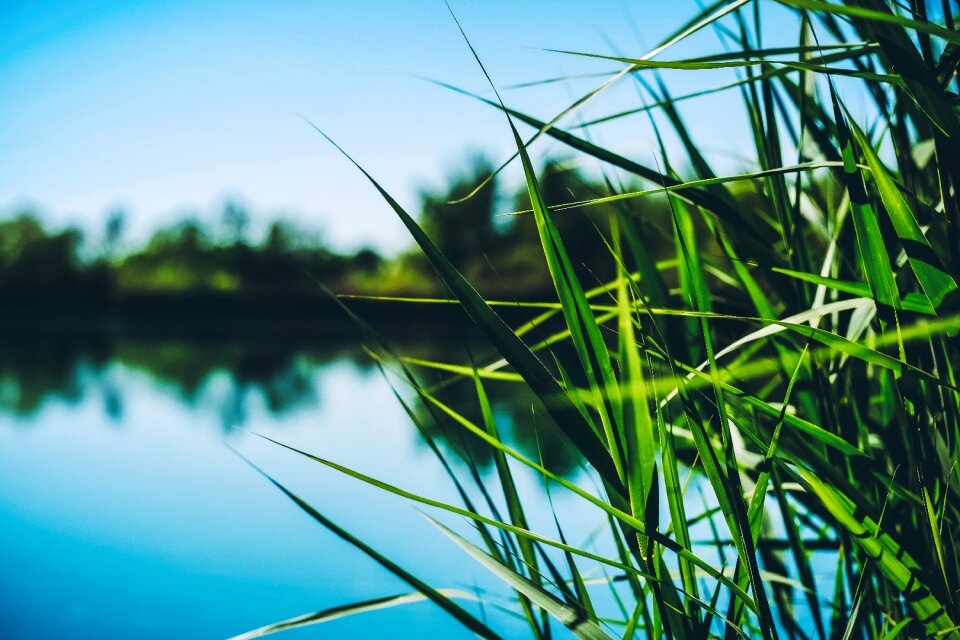 Nature landscape sky