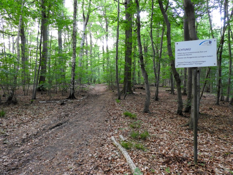 Burg Rabenswalde 01