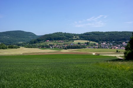 Burg Reicheneck 04