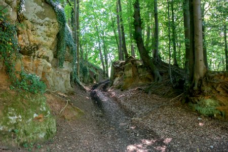 Burg Reicheneck 17
