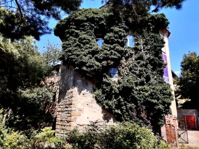 Burg Burgliebenau3
