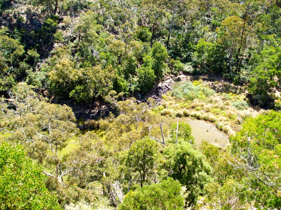 Budj Bim ‐ Mt Eccles National Park, Victoria, Australia 07