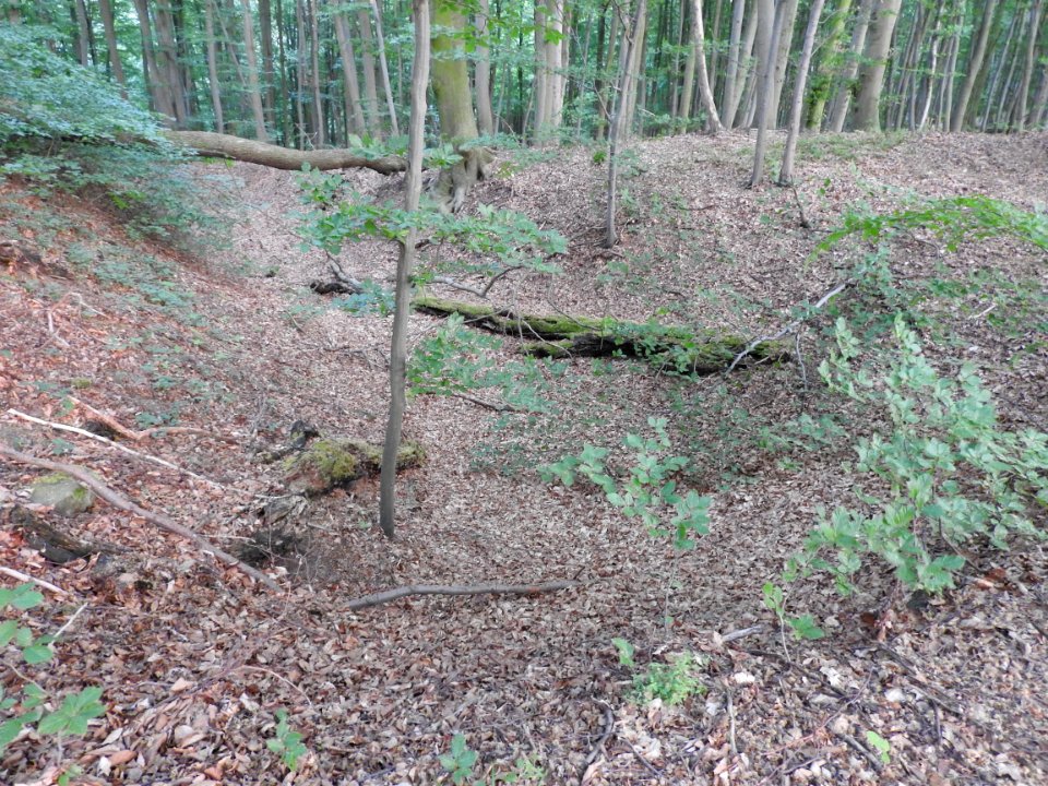 Burg Rabenswalde 06
