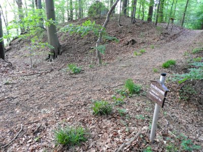 Burg Rabenswalde 05
