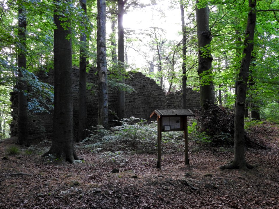Burg Rabenswalde 29