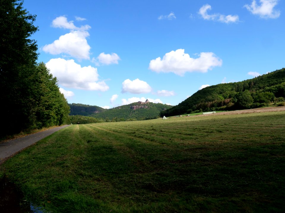 Burg Nideggen from valley 18