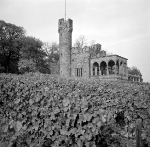 Burg Schwarzenstein op de Johannisberg bij Geisenheim, Bestanddeelnr 254-4245