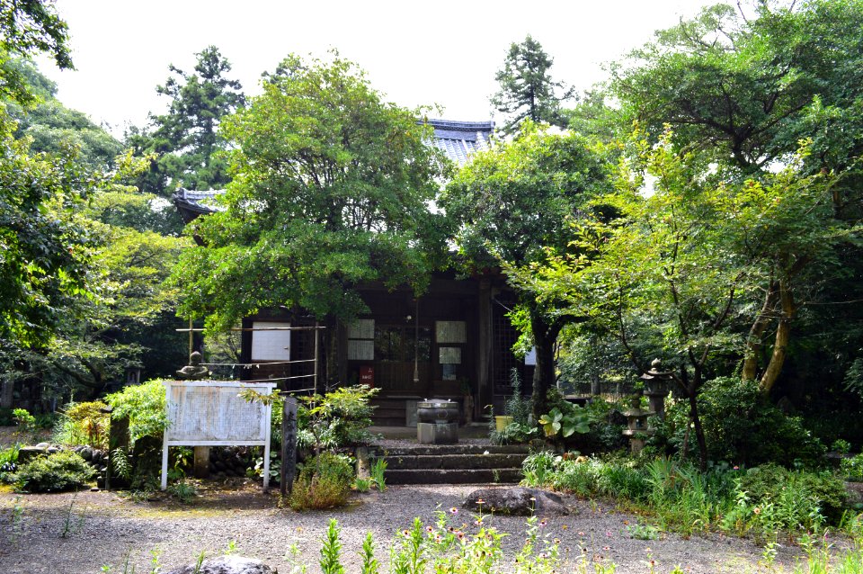 Bungo-kokubunji yakushidou
