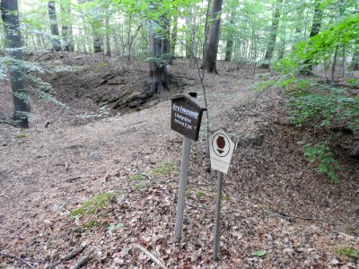 Burg Rabenswalde 02