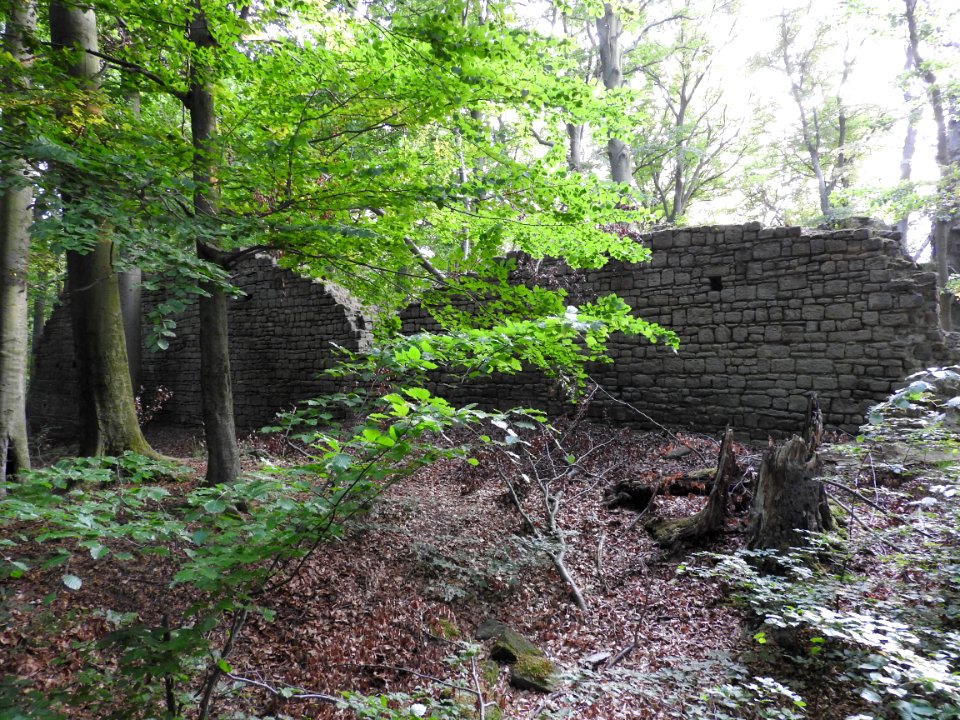 Burg Rabenswalde 14