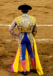 Bullfight in Maracaibo 2