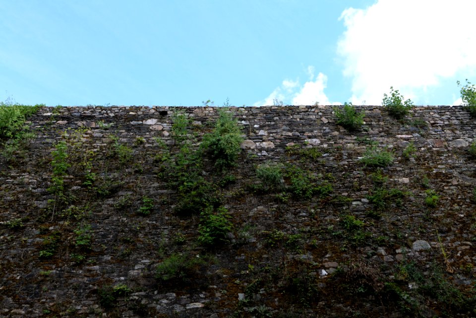 Burg Königstein 2020-08-18 09