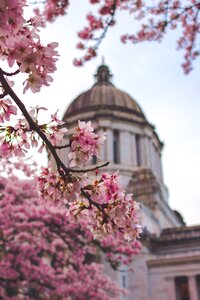 State spring usa