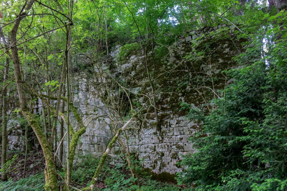 Burg Reicheneck 11