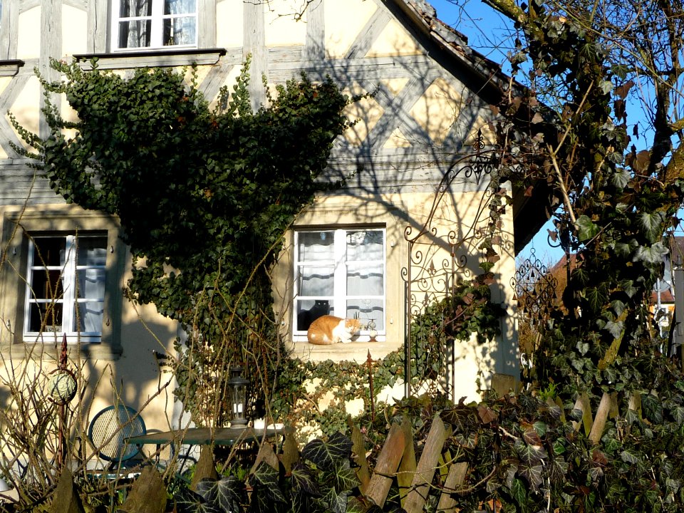 Burgellern 146