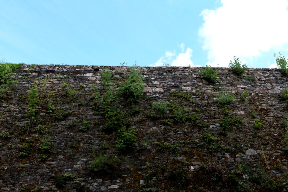 Burg Königstein 2020-08-18 08