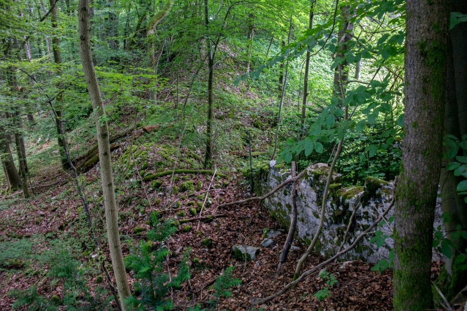 Burg Reicheneck 13