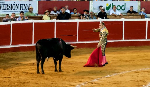 Bullfight in Maracaibo 3