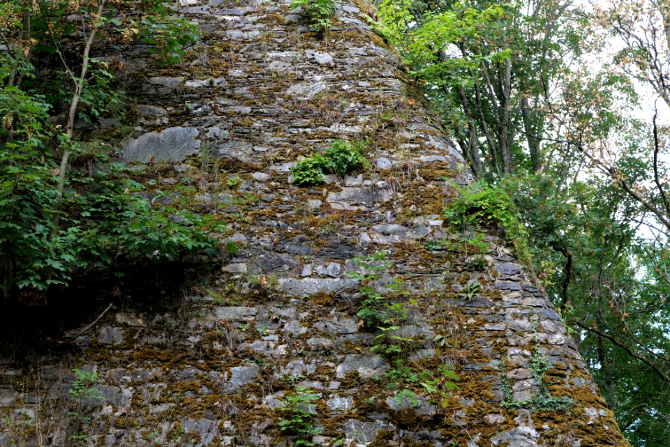 Burg Königstein 2020-08-18 03